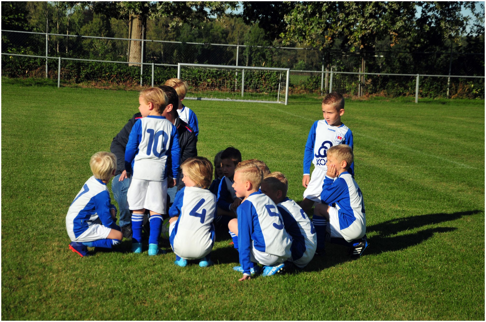 Goed nieuws! We starten de trainingen weer op!